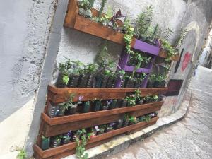 Urban Gardening: Paletten-Wandbeete mit Plastikflaschentöpfen